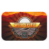 Wild Spirit Slot